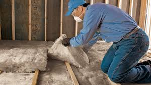 Best Eco-Friendly or Green Insulation Solutions  in Montevideo, MN