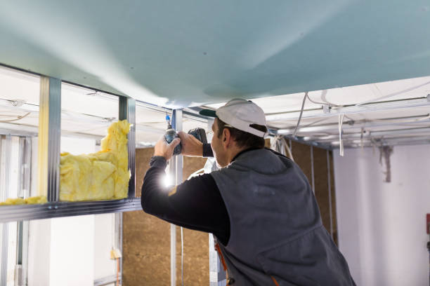 Best Attic Insulation Installation  in Montevideo, MN